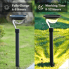 Stake Solar Lights