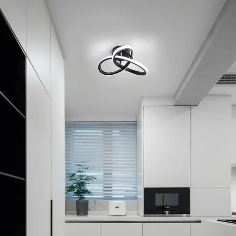 Modern LED Ceiling Lamp,20W 2200LM LED Ceiling Light for Bedroom Dining Room Kitchen Hallway Living Room,Diameter 25cm,Dimmable