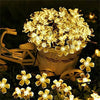 Solar Fairy Flower String Lights for Outdoor Garden with Waterproof Technology (Warm) - Solightify