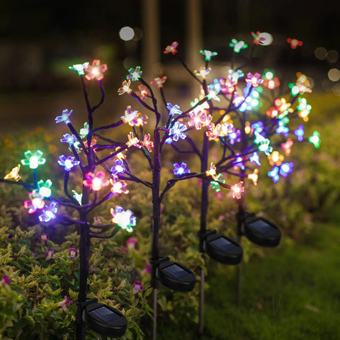 solar light outdoor

