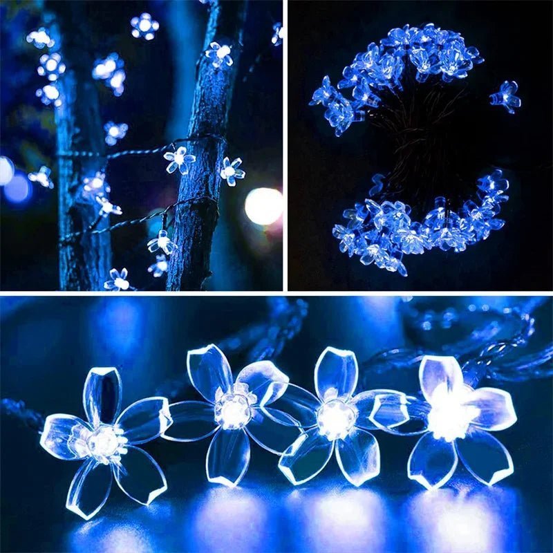 Blue Solightify solar-powered waterproof outdoor fairy garden lights on a 7m string with 50 LEDs, ideal for garden decor.